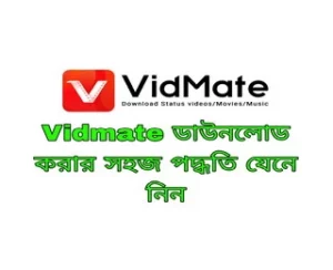 Vidmate Download process