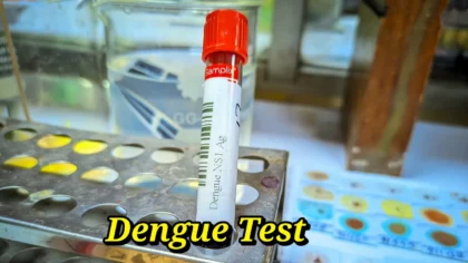 ns1 dengue test