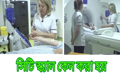 সিটি স্ক্যান খরচ কত ২০২৬ — বাংলাদেশে CT Scan Price পপুলার ডায়াগনস্টিক সেন্টার